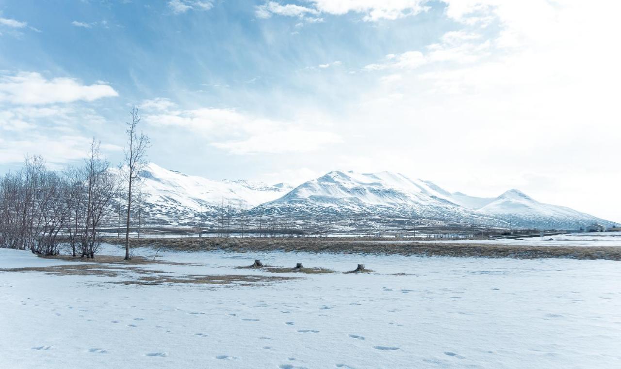 Hotel Dalvík Dış mekan fotoğraf