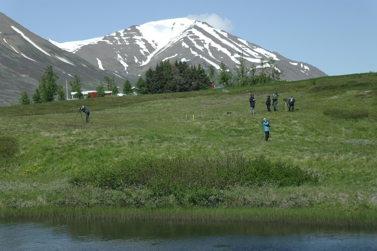 Hotel Dalvík Dış mekan fotoğraf